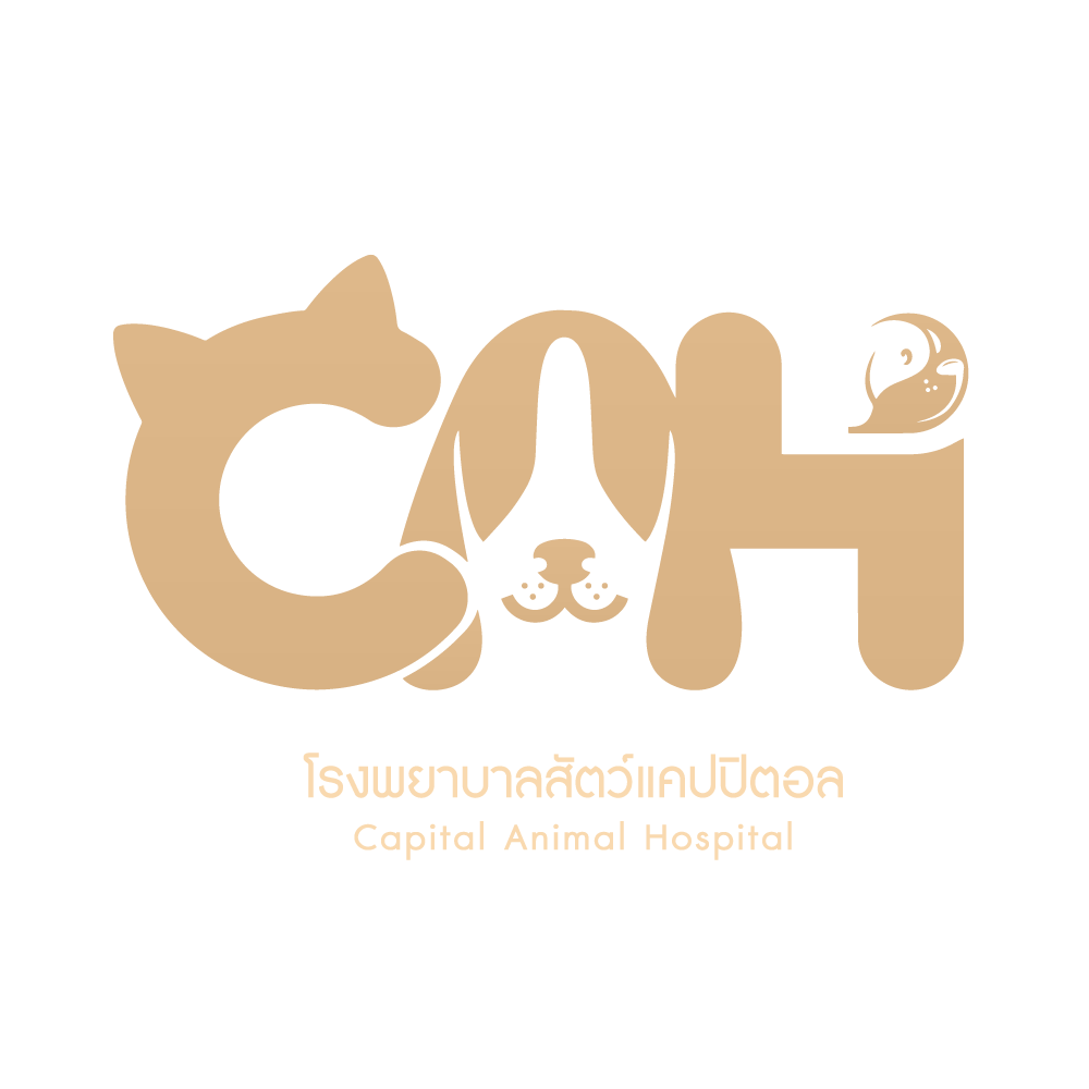 โรงพยาบาลสัตว์แคปปิตอล เปิด 24 ชั่วโมง